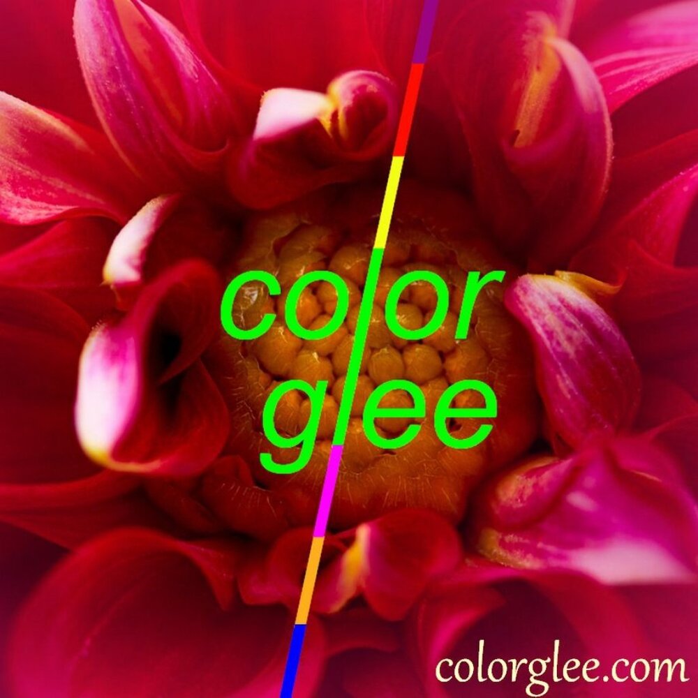 Zinnia Arts Abstract Pattern Large Oval Earrings Dark Green Gift Packaged - Picture 5 of 8